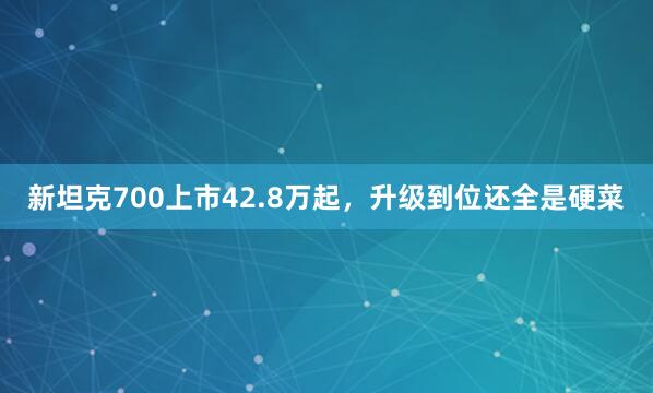 新坦克700上市42.8万起，升级到位还全是硬菜